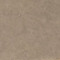 Graniti Fiandre Solida Nut Prelucidato 100x100