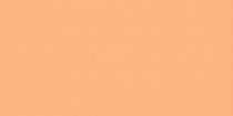 Land Gallery Slim Orange 29.75x59.55