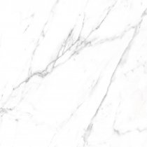 Ornamenta I M Bianco Carrara 60x60