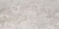 Pamesa Erding Silver Decorstone 60x120