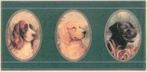 Petracers Grand Elegance Dogs 10x20
