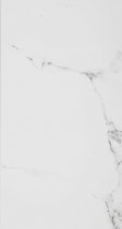 Porcelanosa Marmol Carrara 31.6x59.2