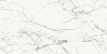 Rex Les Origines Blanc Glossy 6 mm 120x240