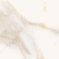 Ricchetti Marble Boutique Calacatta White Lux 59.4x59.4