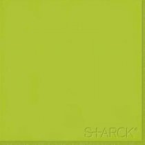 Sant Agostino Flexible Architecture 2 Logo Green Brillo 30x30