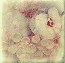 Serenissima Cir Marble Age Inserto Botticino S3 Beige Peach Grape 10x10