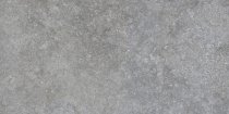 Settecento Shellstone Grey 29.9x60