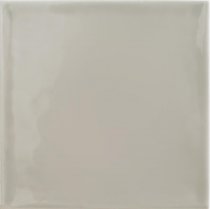 Tonalite Silk Polvere 15x15