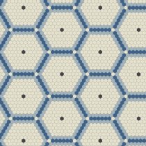 Winckelmans Complex Mosaics Special Design Net H01 Hex-2.5 9Mm 100x100