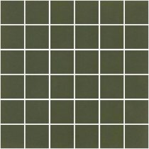 Winckelmans Mosaic C C1 Green Australian Vea 31.8x31.8