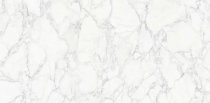 Zodiac Ceramica Porcelain Staturio Venato Gloss 120x240