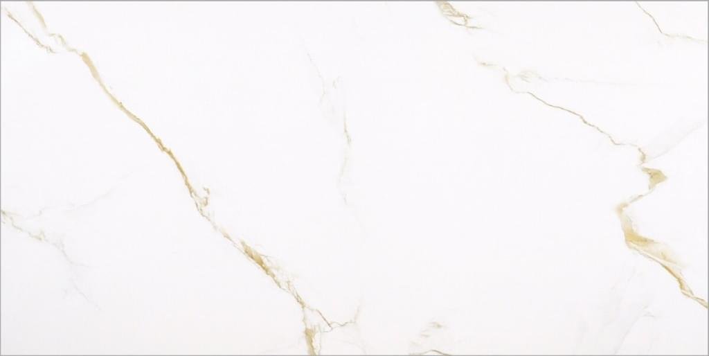 Bonaparte Marble Golden Carrara 60x120