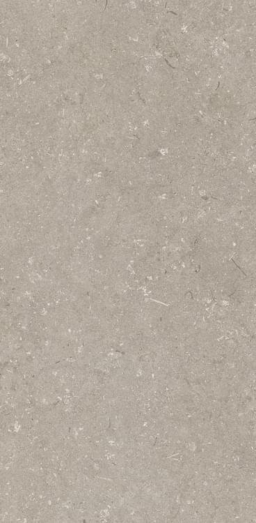 Dado Ceramica Shellstone Taupe 60x120