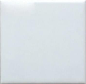 Dar Biselado Liso Blanco Brillo 10x10