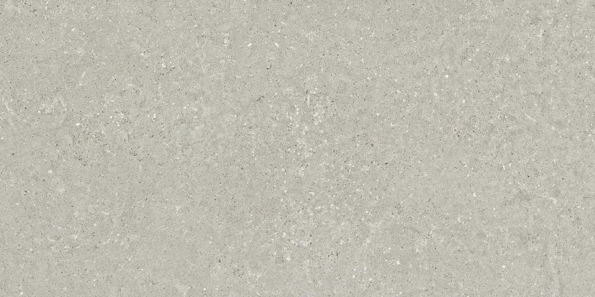 Del Conca Wild Hwd205 Grey 20 mm Spess Rett Hard 60x120