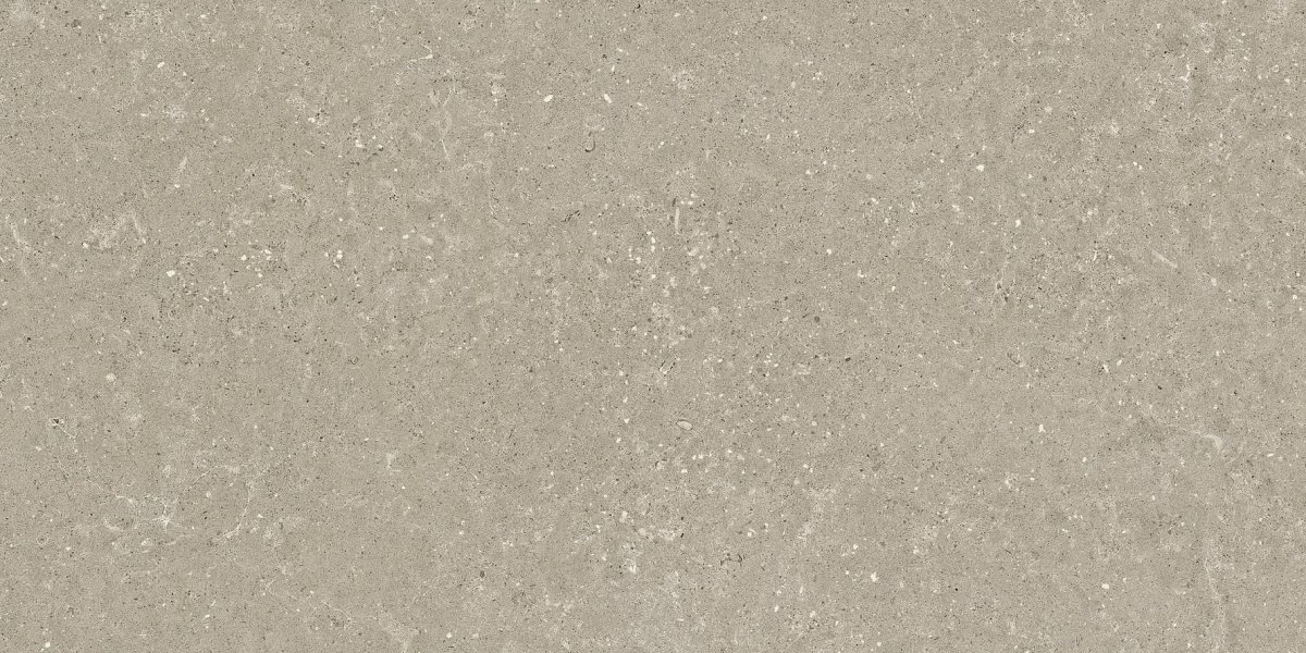 Del Conca Wild Hwd211 Greige 20 mm Spess Rett Hard 60x120