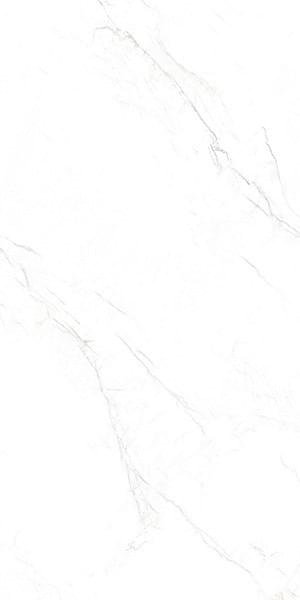 Ennface Marble Mystic White 60x120