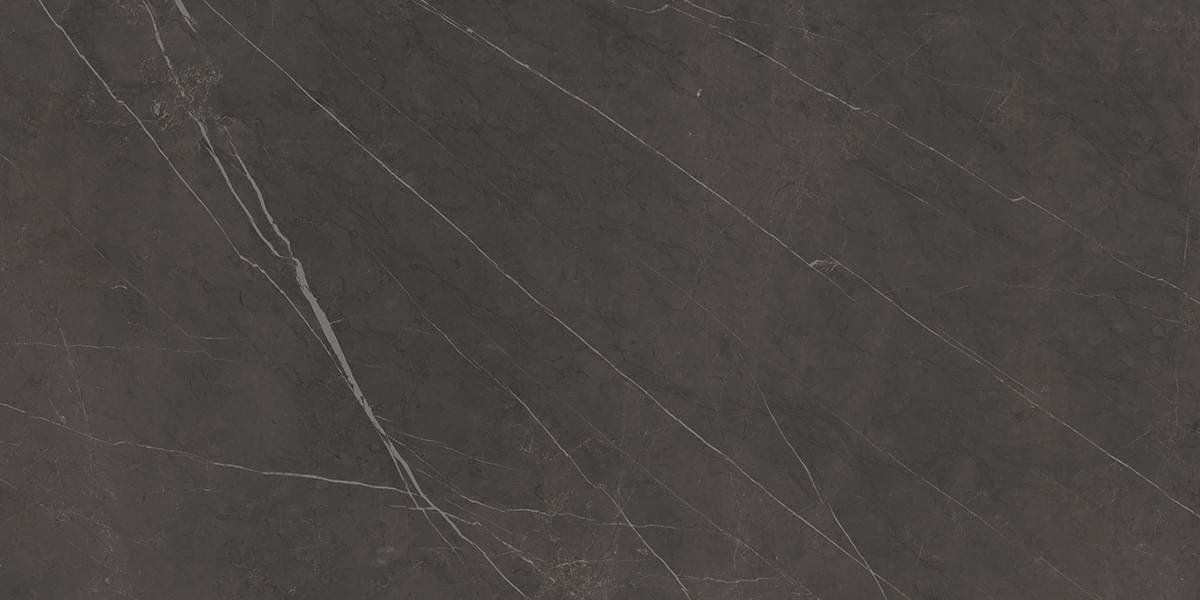 Graniti Fiandre Marble Active Pietra Grey 60x120