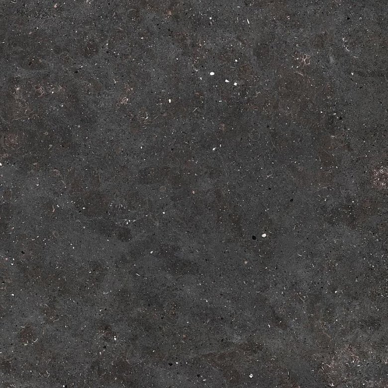 Graniti Fiandre Solida Black Prelucidato 100x100