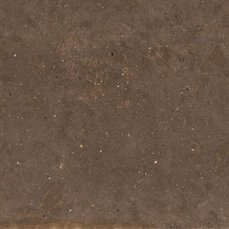 Graniti Fiandre Solida Brown Prelucidato 100x100