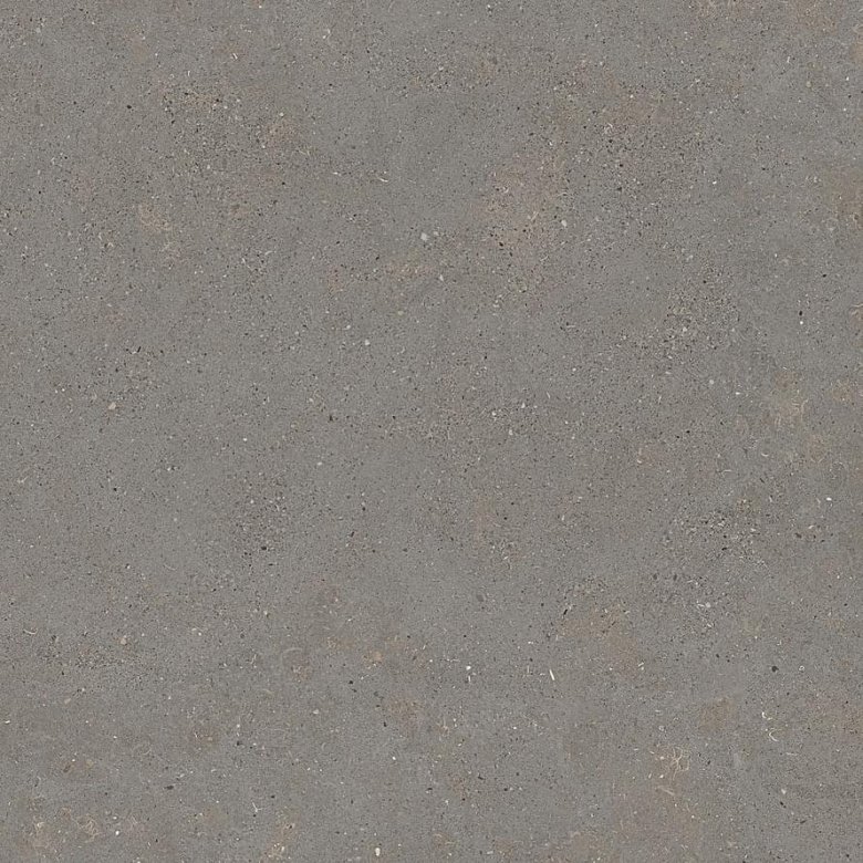 Graniti Fiandre Solida Grey Honed 60x60