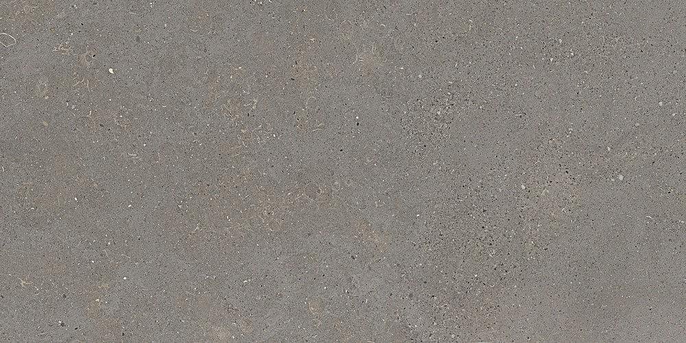 Graniti Fiandre Solida Grey Prelucidato 60x120