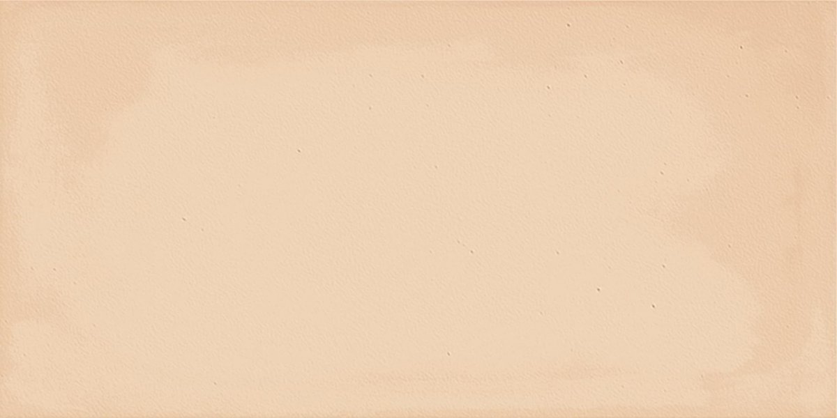 Imola Gesso Terracotta 10x20