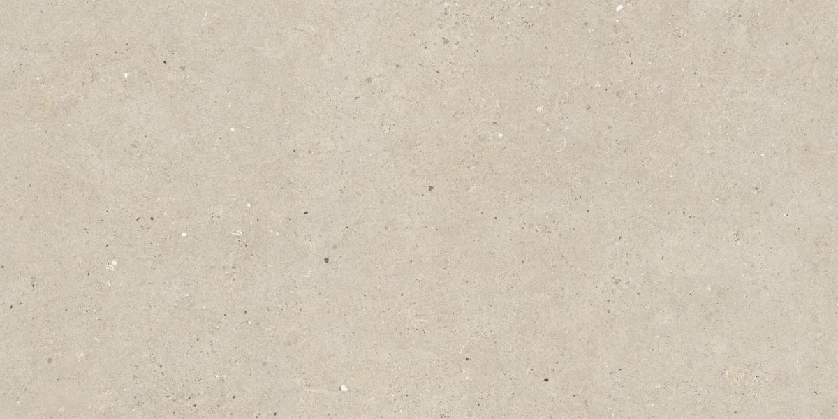 Impronta Italgraniti Silver Grain Beige 60x120