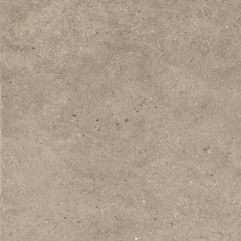 Impronta Italgraniti Silver Grain Taupe 60x60