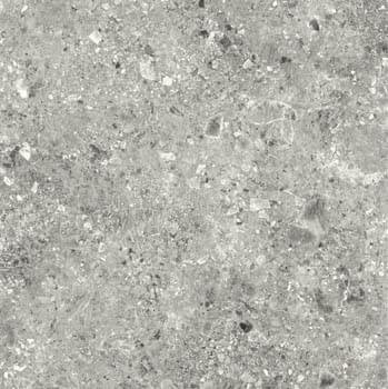 Magica Ceppo Grey Matt Rectified 120x120