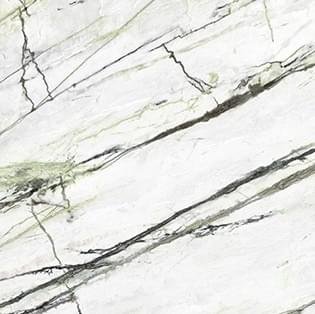 Magica Microcosmi Calacatta Green Polished 60x60