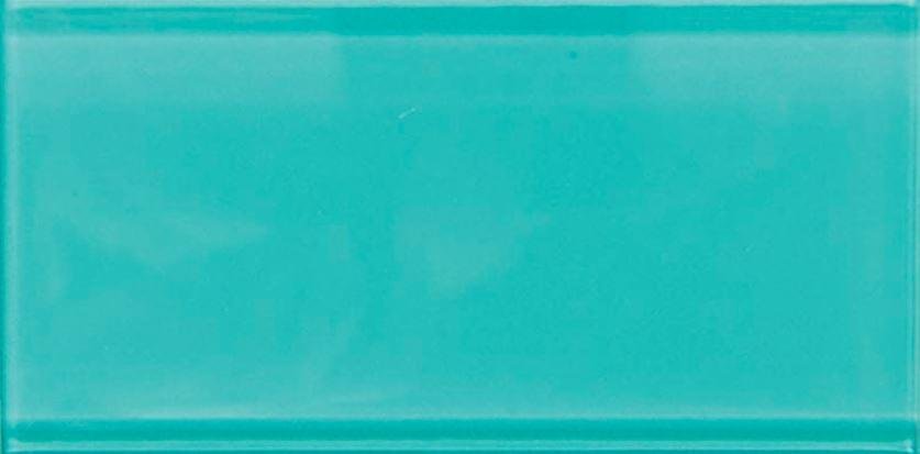 Natural Exclusive Color Palette Aqua Gloss 7.6x15.2