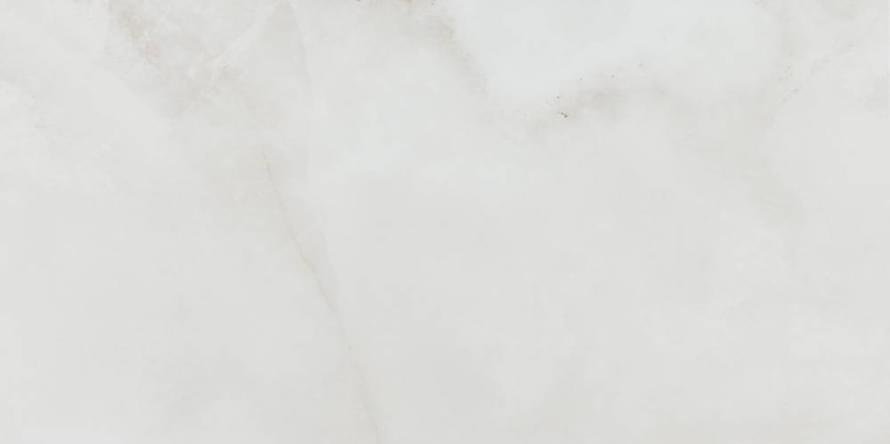 Pamesa Sardonyx White 60x120