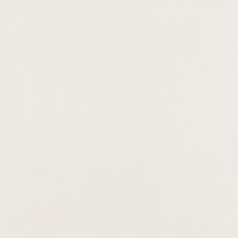 Paradyz Elegant Surface Bianco 59.8x59.8