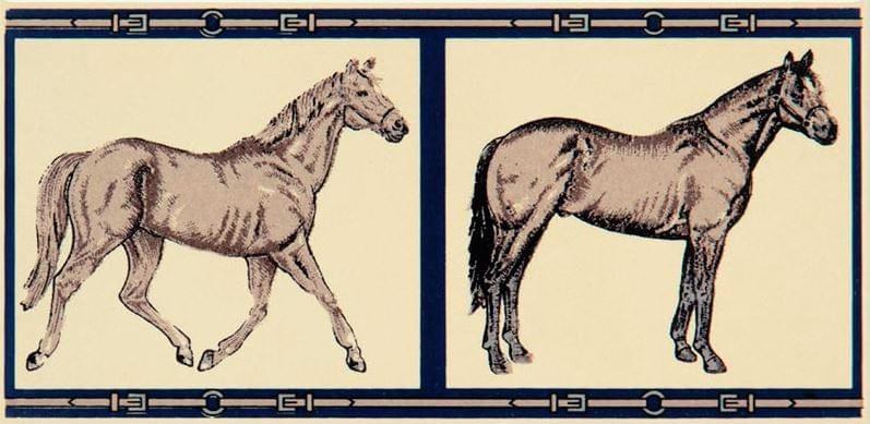 Petracers Grand Elegance Horses Su Crema 10x20