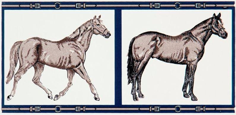 Petracers Grand Elegance Horses Su Panna 10x20