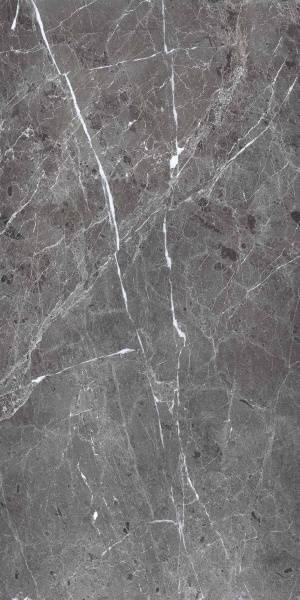 Primavera Polished Ardesia Grafito 60x120