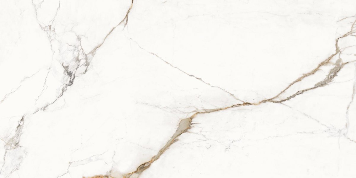 Provenza Unique Marble Paonazzetto Silktech 60x120