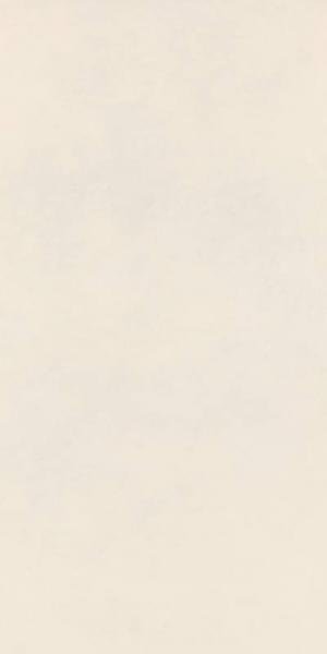 Ragno Decora Bianco 60x120