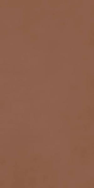 Ragno Decora Terracotta 60x120