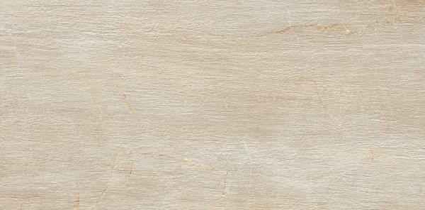 Serenissima Cir Fossil Crema 60x120