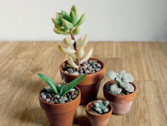 Плитка Ragno коллекция Woodglam